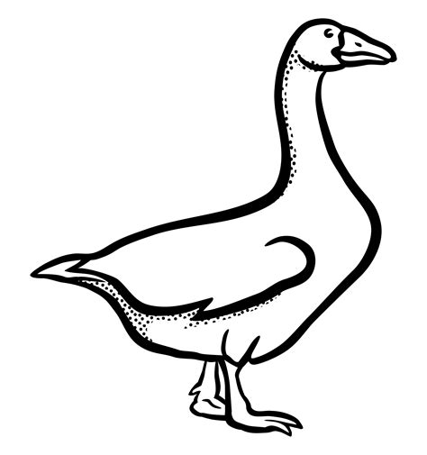 Goose clipart drawing, Goose drawing Transparent FREE for download on ...