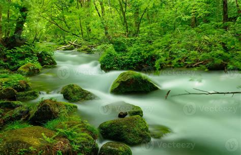 Oirase gorge in Aomori, Japan 1383295 Stock Photo at Vecteezy