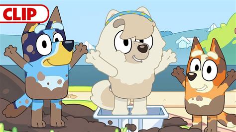 Bluey Season 3 Episode 36 Dirt Episode Clip Disneyjr