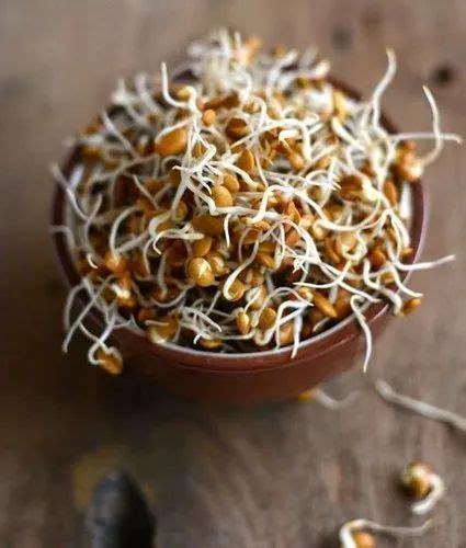 Horse Gram Sprouts, Sprouted at Rs 100/kg in Bengaluru | ID: 22245987088