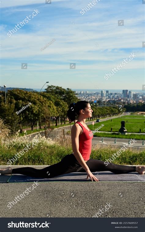 Side View Slim Brunette Sportswoman Doing Stock Photo Shutterstock