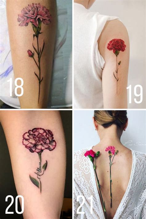 Beautiful Carnation Tattoo Ideas Their Meaning Tattooglee