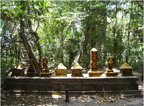 Sacred Groves In India: Protection, Names, And Significance - PWOnlyIAS