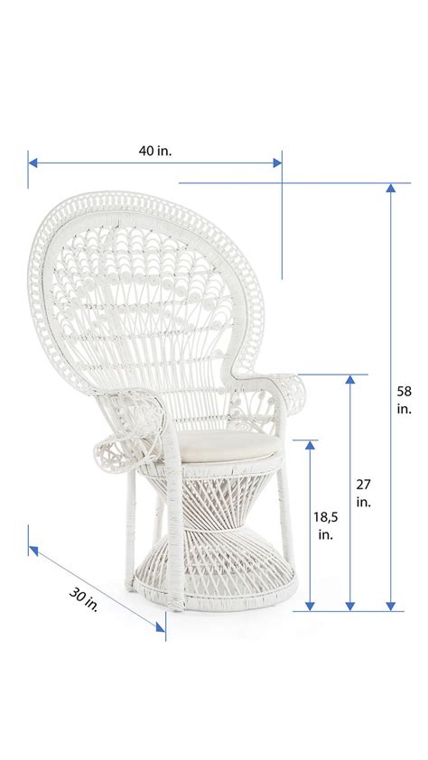 Shop Rattan Peacock Chairs Kouboo