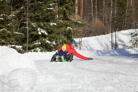 Man And Son Tobogganing In Snow Covered Forest Stock Photo Dissolve