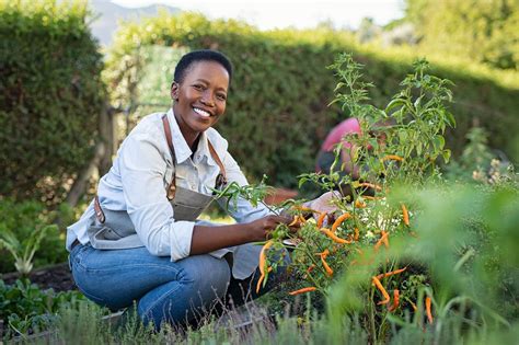 Agricultural Sciences One Source Tutors