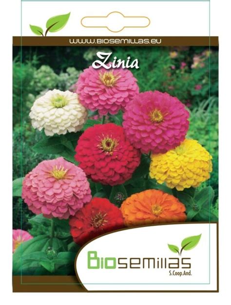 Zinia Biosemillas Almería Coop