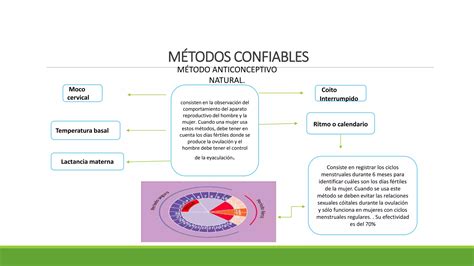 Sexualidad Métodos Anticonceptivos Y Enfermedades De Transmisión Ppt