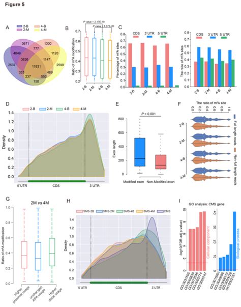 Direct Rna