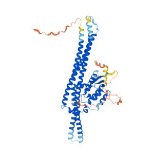 SNX8 Gene GeneCards SNX8 Protein SNX8 Antibody