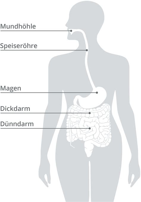 Meine Verdauung Zentrum für körperliches Wohlbefinden