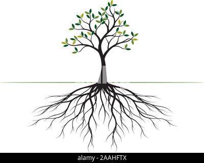 Green Spring Tree With Roots Vector Outline Illustration Plant In