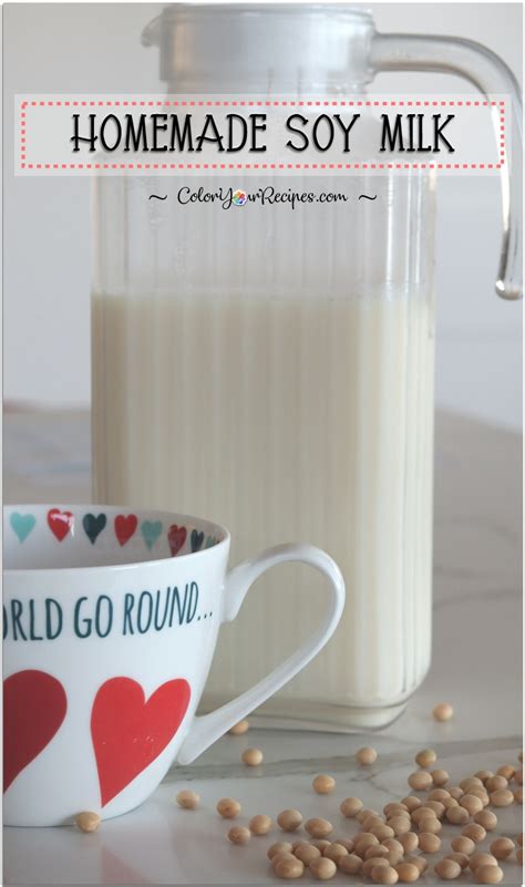 Easy Homemade Soy Milk • Color Your Recipes