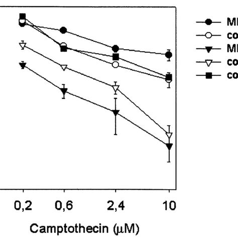 Cytotoxicity Of Camptothecin In Wild Type Mefs And Colo