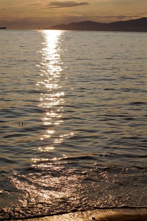 Free Images Sea Coast Water Sand Rock Sunrise Sunset Sunlight