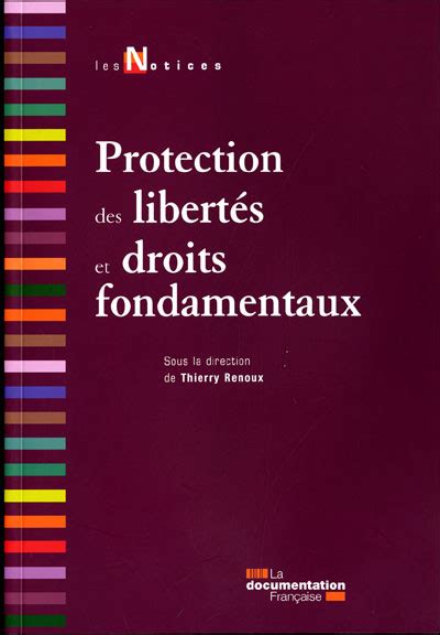 Protection Des Libert S Et Droits Fondamentaux Broch Renoux