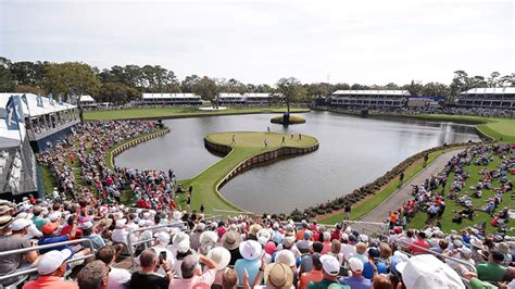 Your Ultimate Guide to Golf Tournaments - Golf Grail