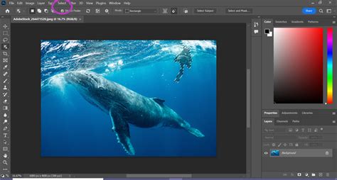 How To Remove Objects In Photoshop