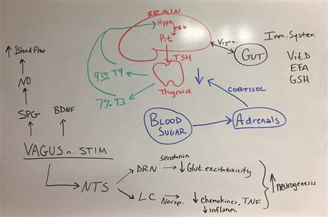 Greenville, NC Neuropathy Treatment | #1 Functional Medicine Doctor