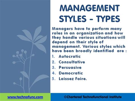 Technofunc Management Styles