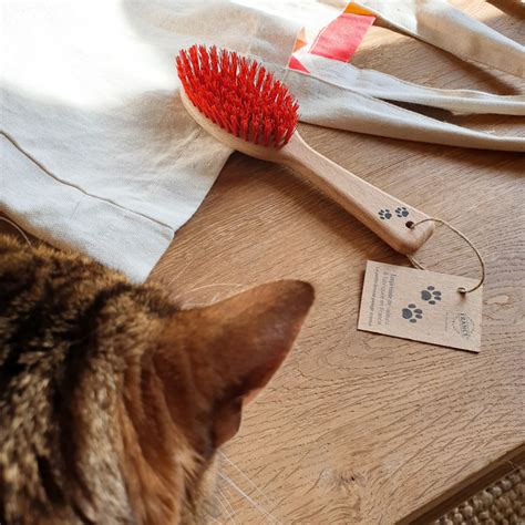 Petite Brosse Pelage Soyeux