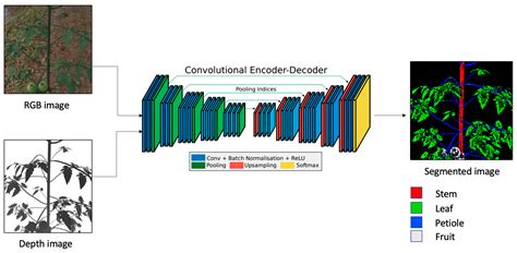 Agronomy Free Full Text Fruit Detection And Recognition Based On