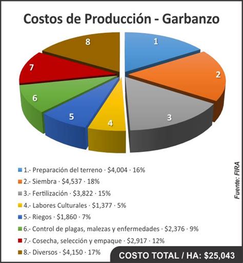 Costos de producción 2019 2020 Garbanzo Panorama AGROPECUARIO