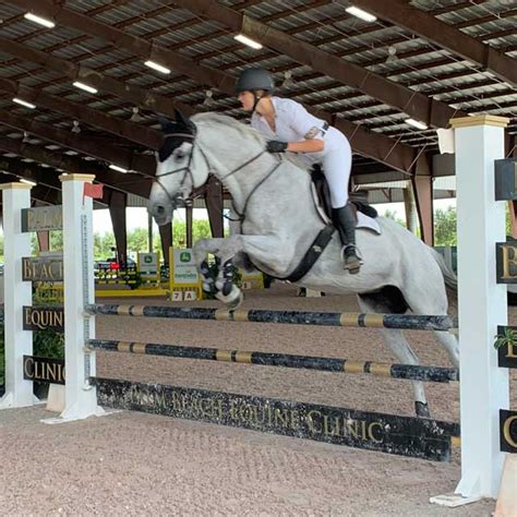 Showing Four Gs Equestrian