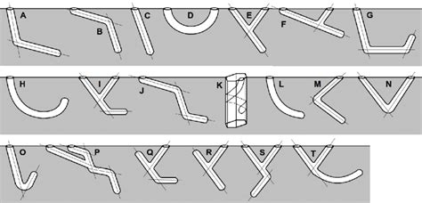 Architectural types of ghost crab burrows. Straight lines represent the... | Download Scientific ...