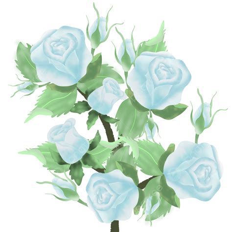 Flowers Blue Light Roses Rose Roses Flowers Png Transparent Clipart