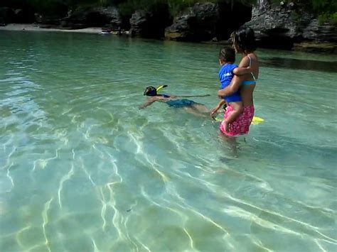 Snorkeling In Bermuda Youtube