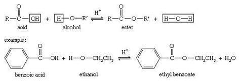 Ester Chemical Compound Britannica