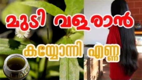 മുടി തഴച്ചു വളരാൻ കയ്യോന്നി എണ്ണ ഉണ്ടാക്കുന്ന വിധംകയ്യോന്നി ഔഷധ ഗുണംkayyonnibhringarajan Oil