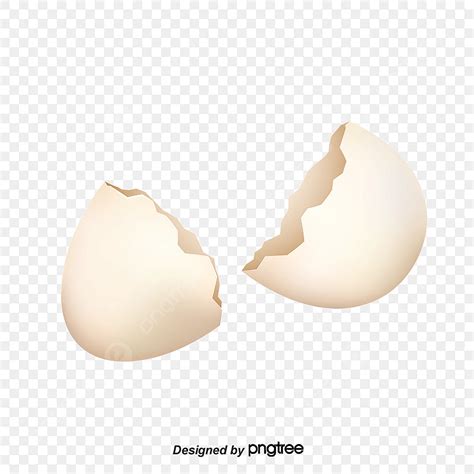 Broken Egg Shell PNG, Vector, PSD, and Clipart With Transparent ...