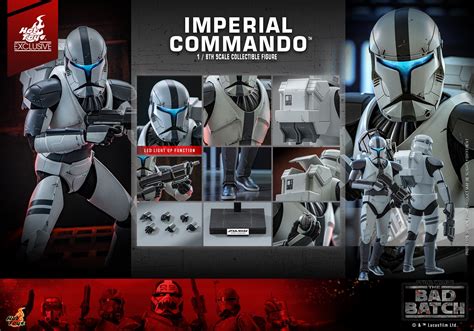 2024 Hot Toys 1周年特別企劃 野獸國官方商城