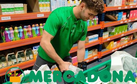 Mercadona Finaliza Agosto Con M S De Ofertas De Empleo Empleo En