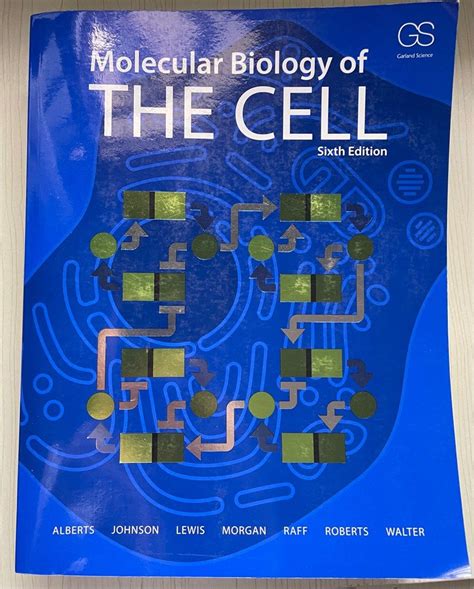 Molecular Biology Of The Cell Sixth Edition Hobbies Toys Books