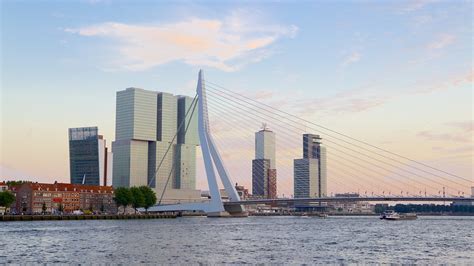 Erasmus Bridge in Rotterdam, | Expedia