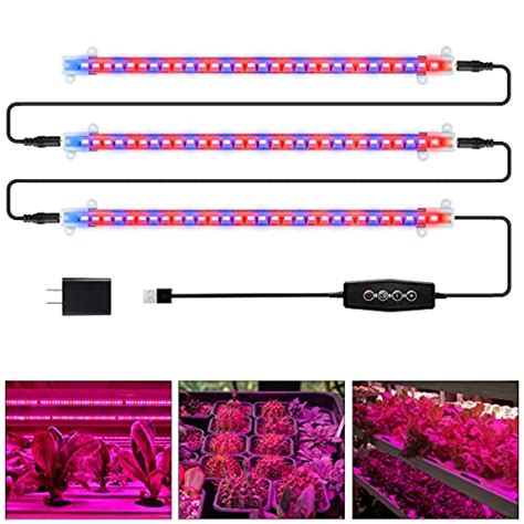 Best Red Blue Grow Lights For Plants