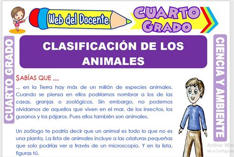 Clasificación De Los Animales Para Cuarto Grado De Primaria