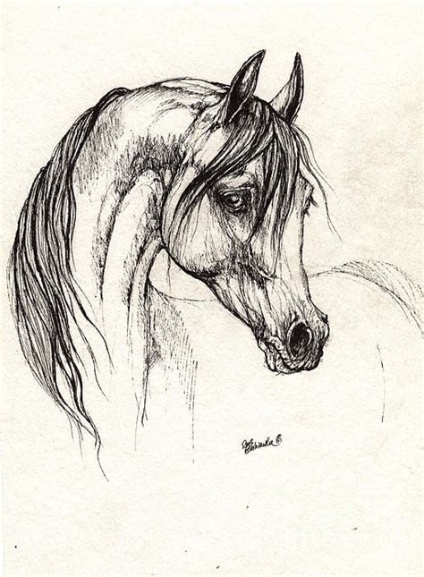 1643 Best Arabian Horse Art Images On Pinterest