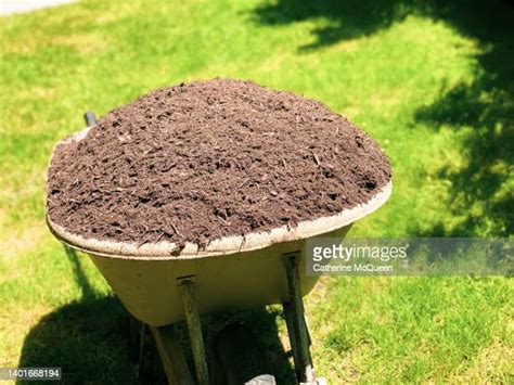 126 Mulch Wheelbarrow Stock Photos High Res Pictures And Images