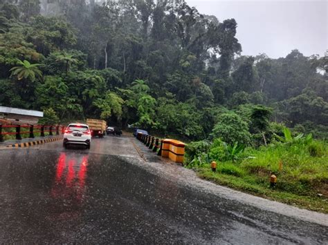 Pemangkasan Pohon Jalur Liku Sembilan Bpbd Tunggu Surat Dlhk Provinsi