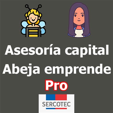 Asesor A Capital Abeja Emprende Pro Francisco Te Ayuda