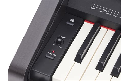 Roland RP30 Digital Piano