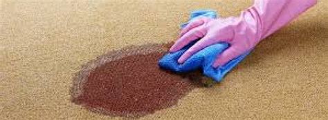 Blood Spill Clean Up | Seaman Site