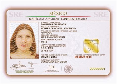 Easy Steps To Obtain A Mexican Drivers License Krazy Butterfly