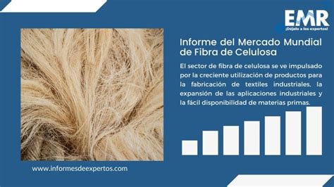 Informe del Mercado de Fibra de Celulosa Análisis 2024 2032