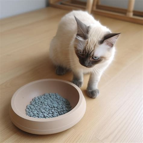 Un Gato Está Mirando Un Plato De Comida Para Gatos Foto Premium