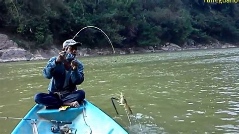 Mancing Udang Galah Di Lubuk Petai Sungai Kuala Gris Kelantan Pok Lat